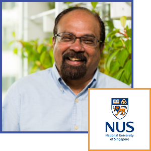 <b>Prof Jeyakumar</b> <b>Henry</b>, <b><i>NUS</b></i>