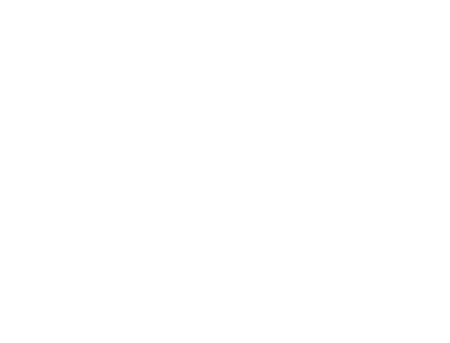 Pulse Solutions