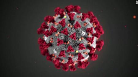 Coronavirus: Fact vs. Fiction Newsletter