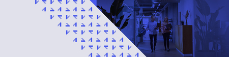s360 & BAUHAUS - Winning 60% Search Visibility Through Topic Clustering