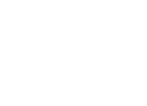 Avant Garde
