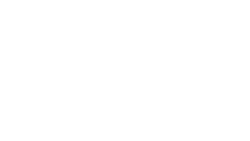 Black Swan Tax Advisors