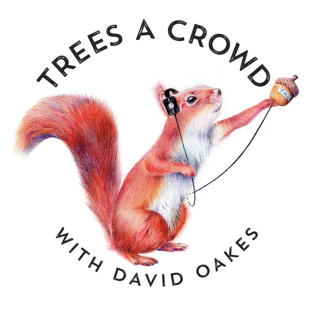 Podcast logo/artwork