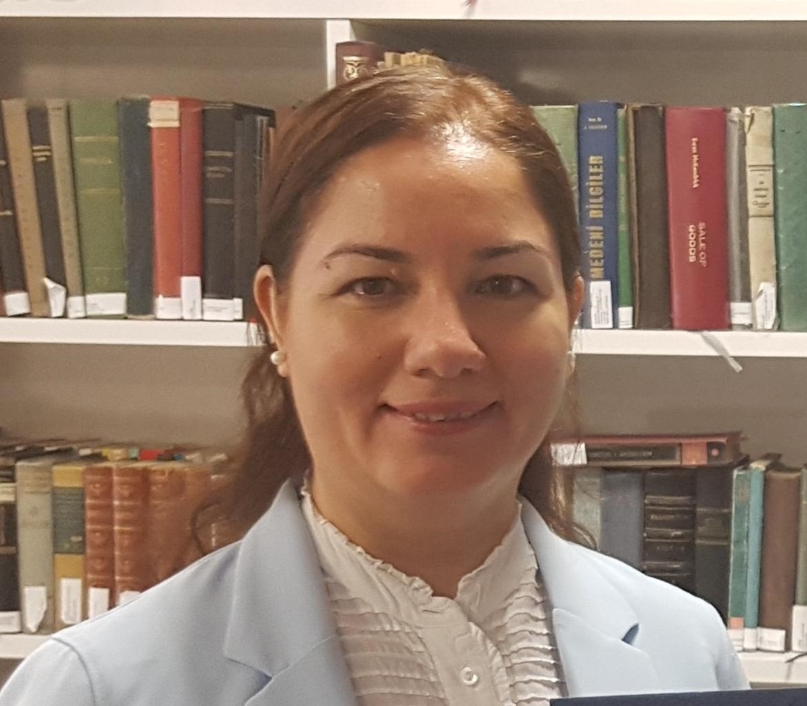 Sezer Bozkus Kahyagolu, İzmir Bakırçay University