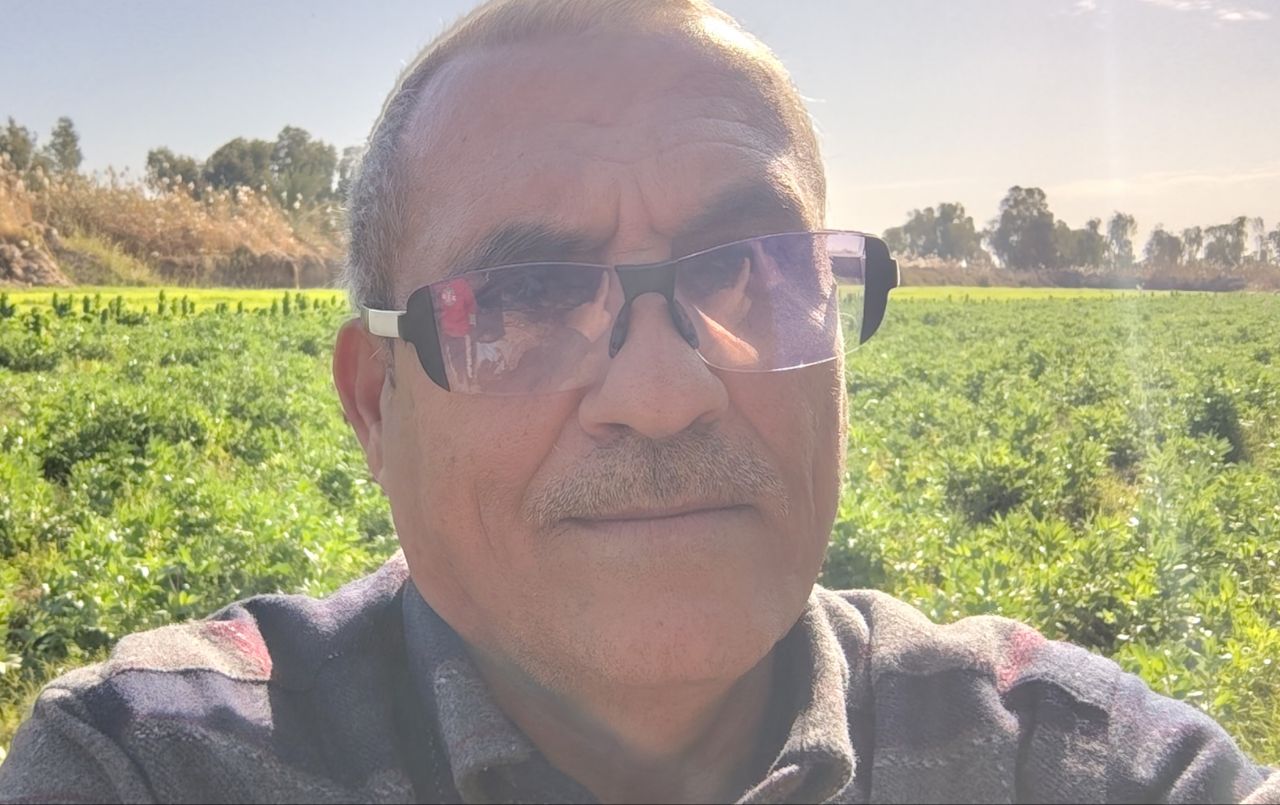 Ali Alawady, University of Al-Qadisiyah / Al-Farabi University