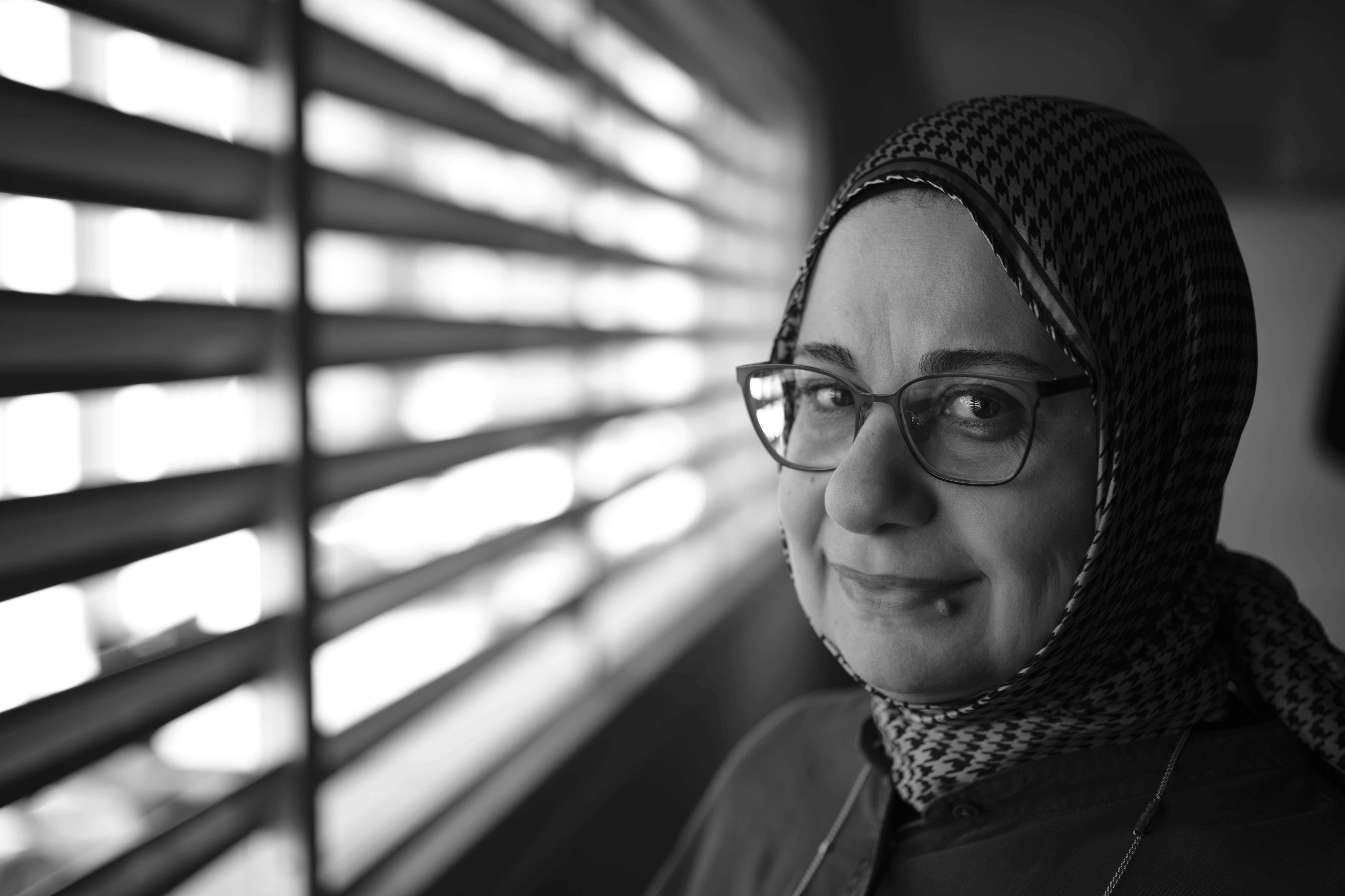 Naglaa Sami Abdelaziz Mahmoud, Ajman University
