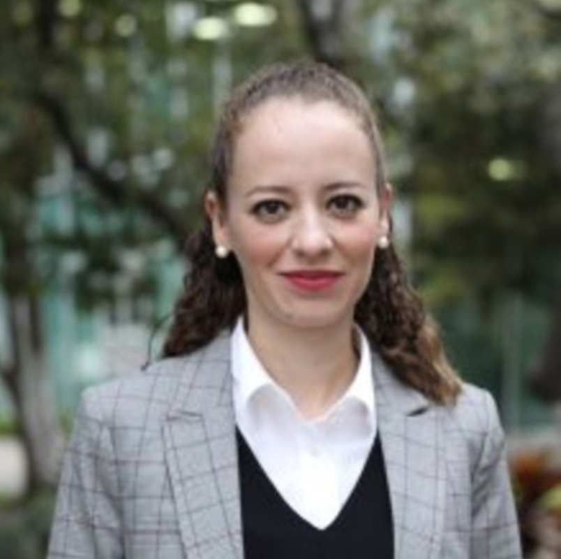 Ana Fabiola Mora López, Universidad Panamericana