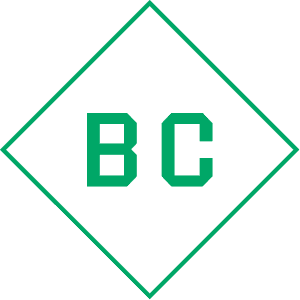 Company logo in JPEG or PNG