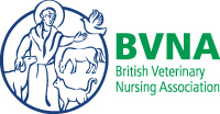 BVNA Ltd