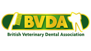 British Veterinary Dental Association | BVDA