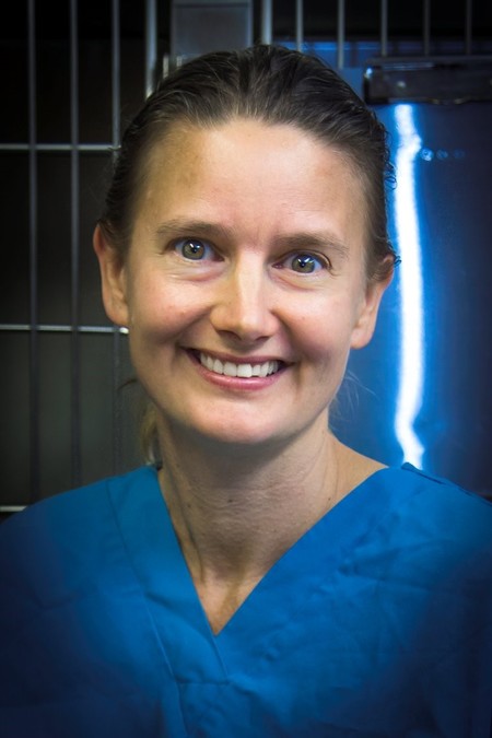 Ariane Neuber-Watts