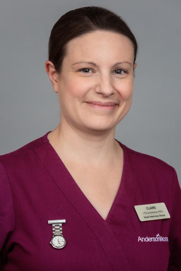 BSAVA launches nursing case report development opportunity for BSAVA Congress 2020