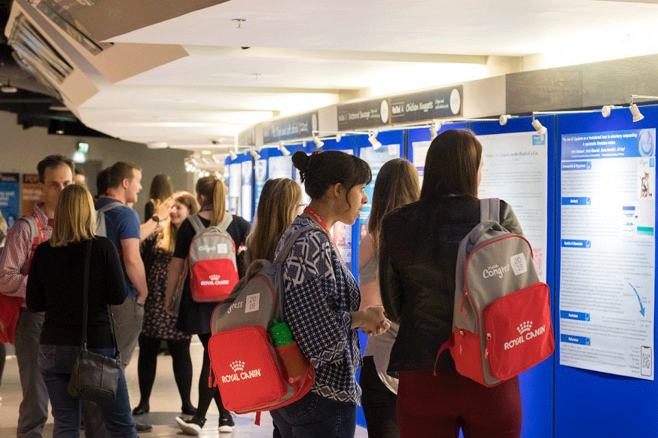 BSAVA calls for GPs to submit clinical abstracts at Congress 2019