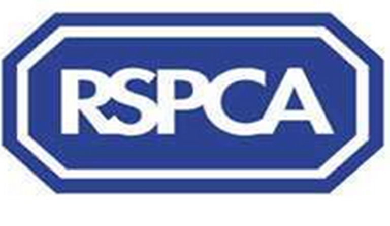 RSPCA